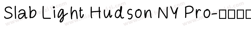 Slab Light Hudson NY Pro字体转换